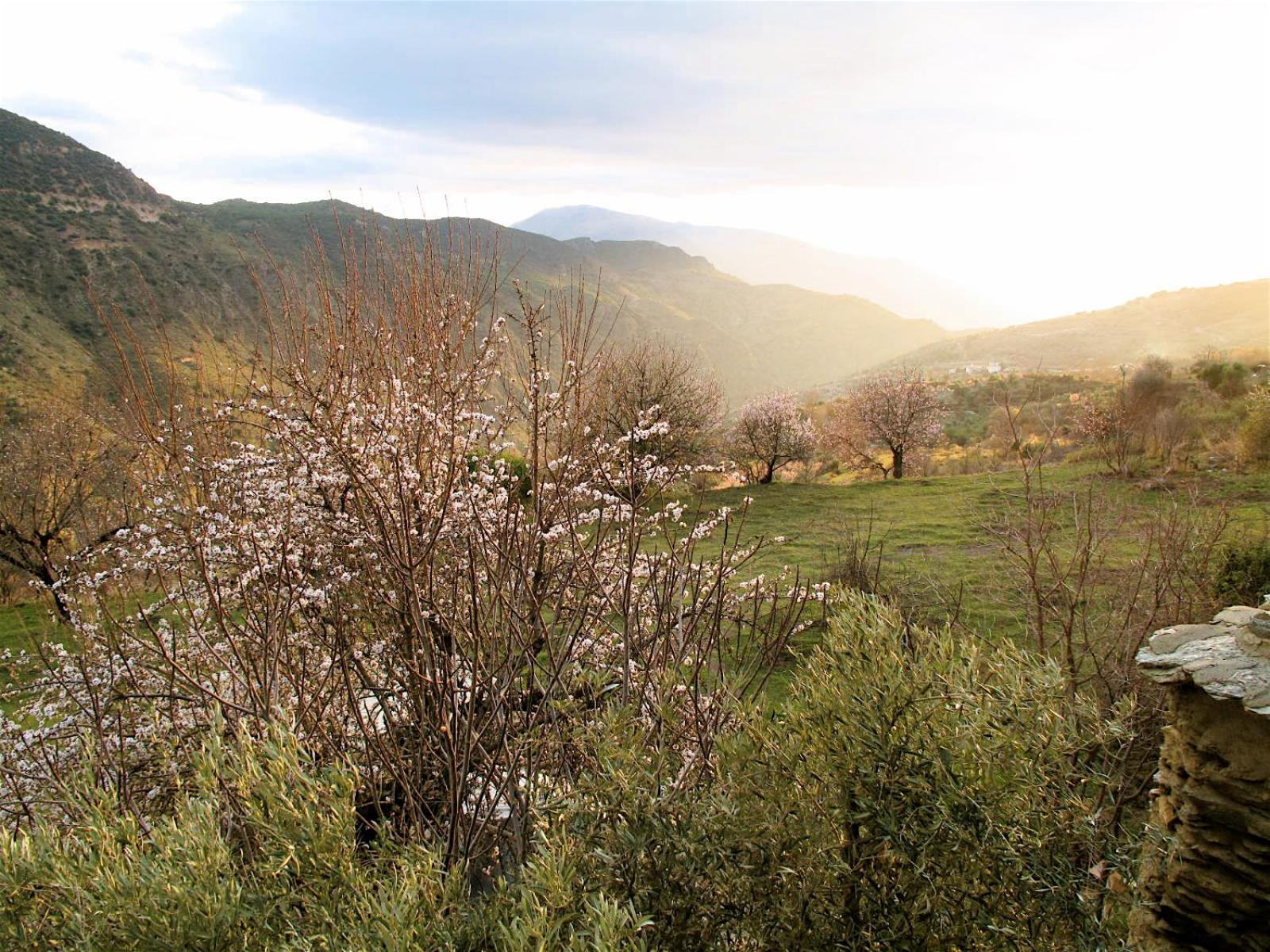 Rural House, Heated Pool & Steam Room, Casa Aloe. Atalbeitar Exterior photo
